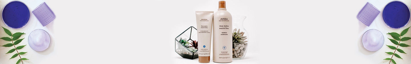 aveda blue malva beauty art mexico