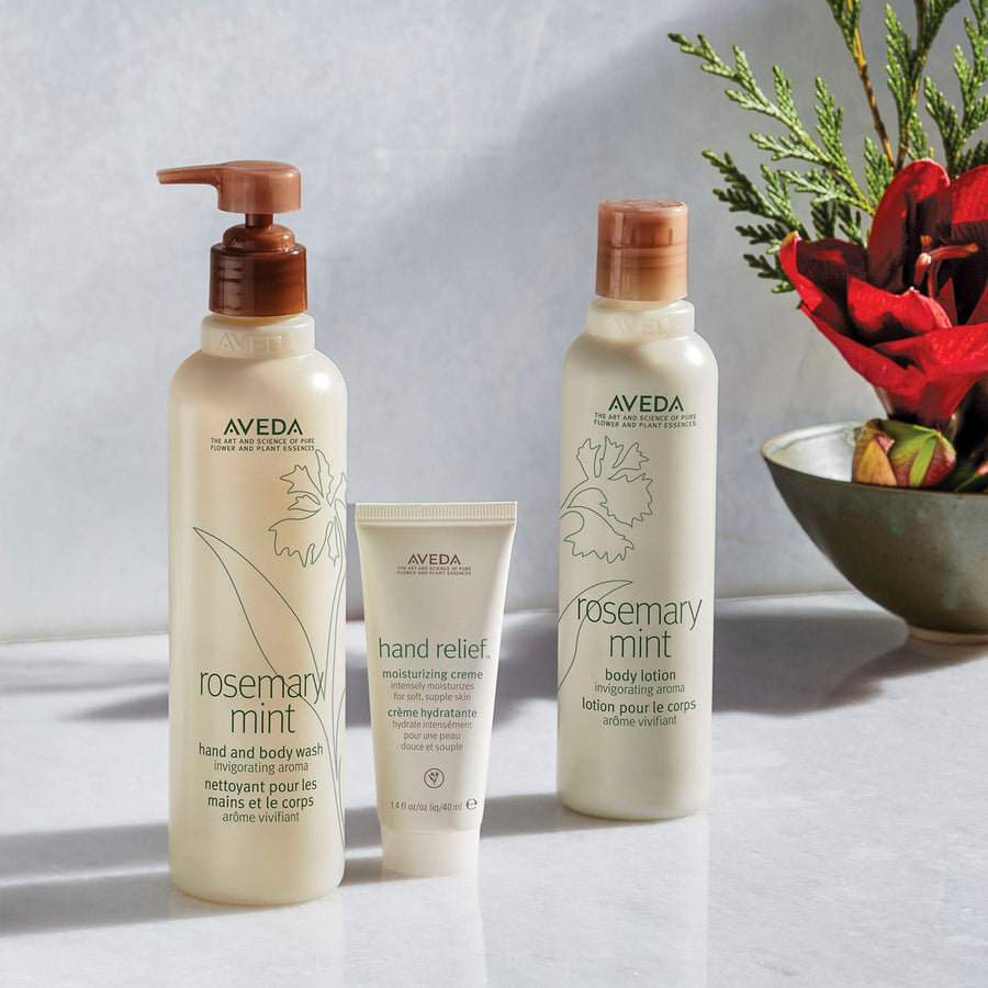 aveda rosemary mint hand & body wash beauty art mexico
